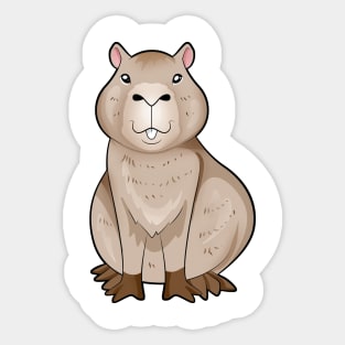 Kawaii Capybara Sticker